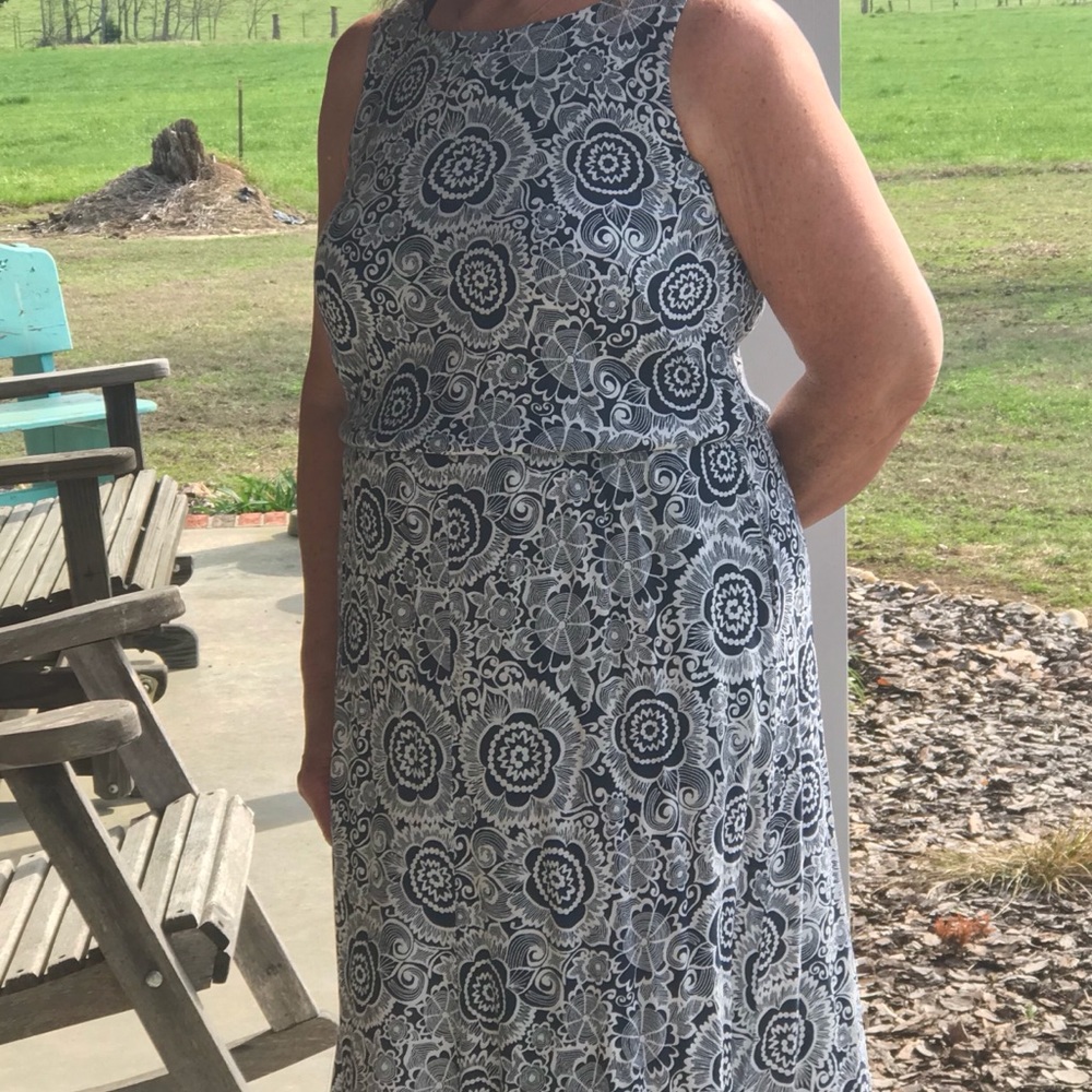 CAbi Dress